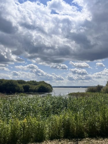 Wanderweg Dümmerdeich