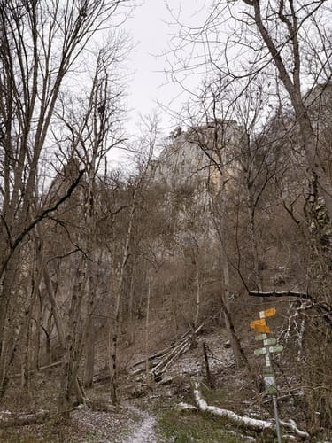 Burgfelsenpfad (Traumtour)