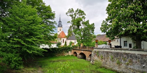 „Heide-Biber-Tour“  in der Dübener Heide