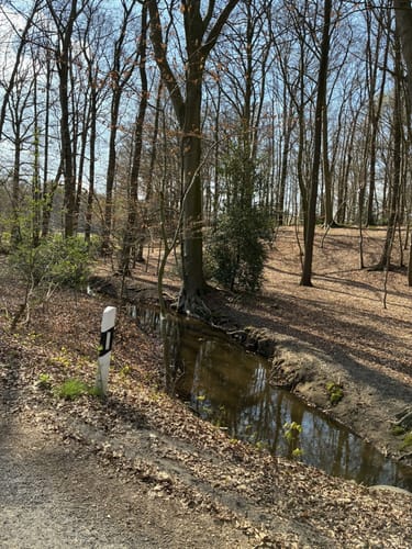 EmsRadweg Etappe 4: Emsdetten - Lingen