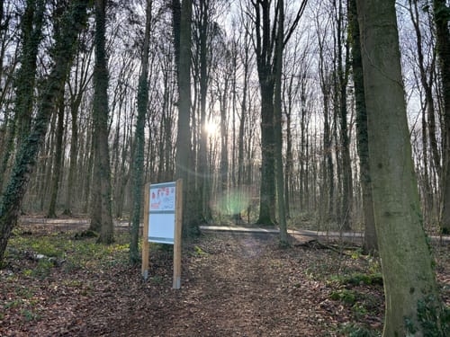 A1: Aaper-Wald-Runde
