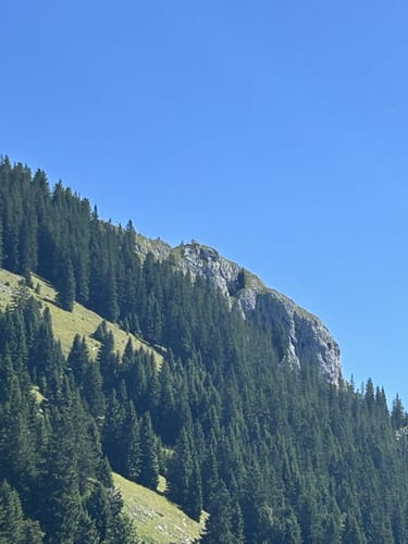 Vom Tatzelwurm zum Brünnsteingipfel