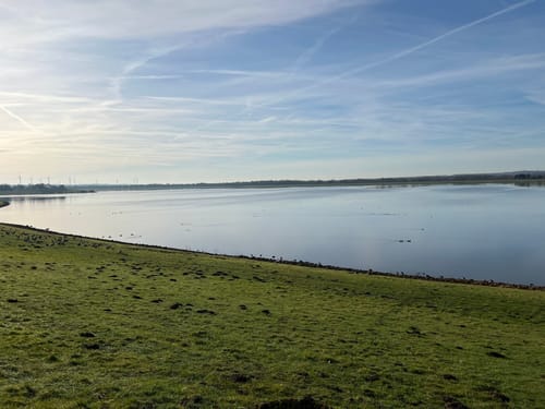 Rund um den Alfsee