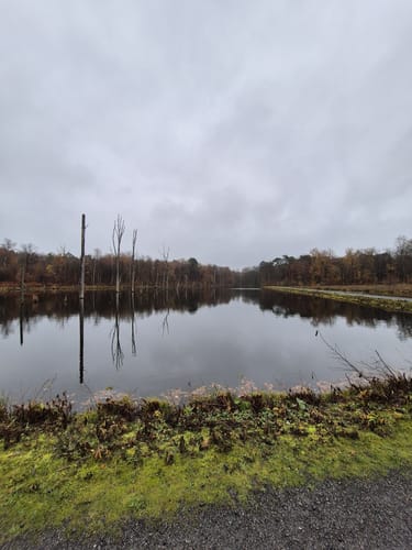 Durch die Kirchhellener Heide zum Heidesee