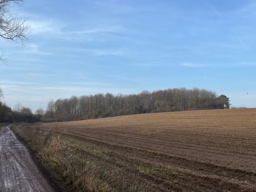 Rund um den Ebenberg