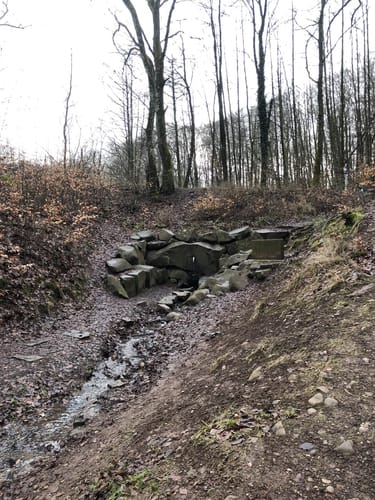 Nahequelle-Pfad (Premiumwanderweg)