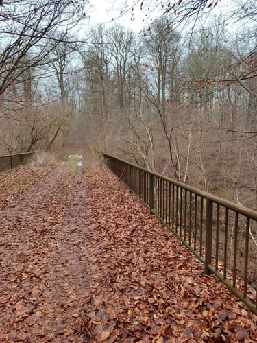Runde im Wald bei Groß Disnack