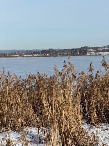 Rund um den Niedersonthofener See