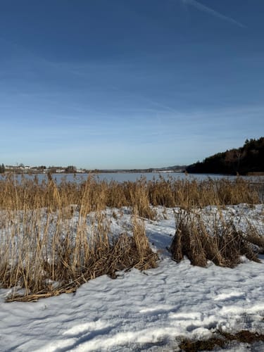 Rund um den Niedersonthofener See