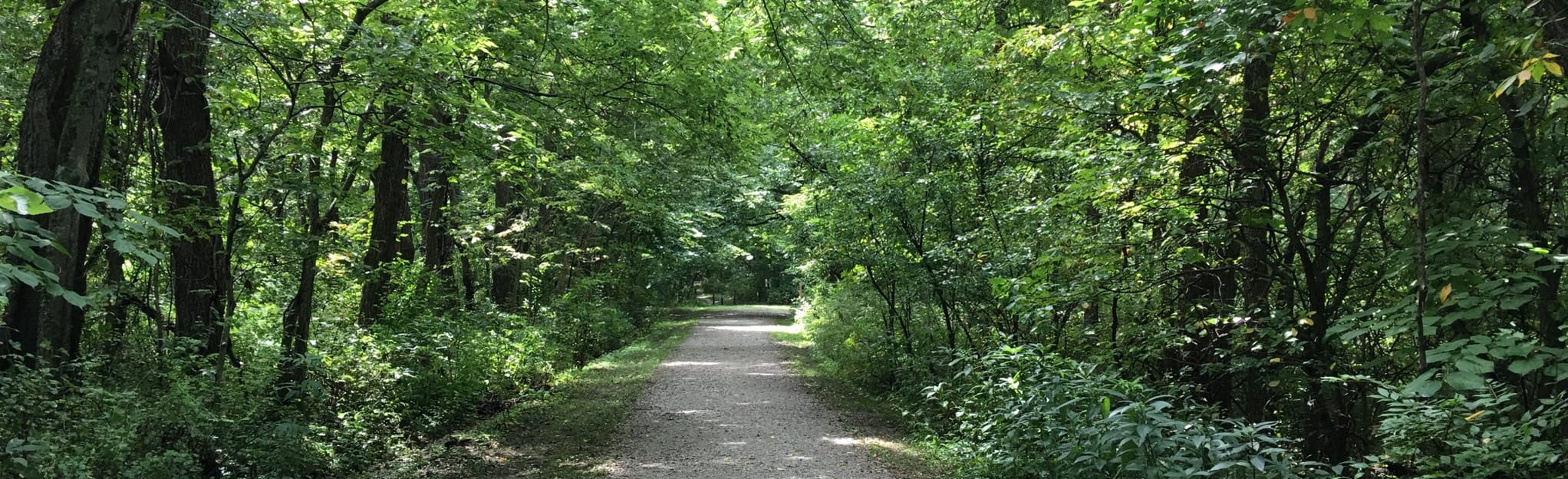 Hickory Grove Trail 228 Reviews, 365 Photos, Map Missouri AllTrails