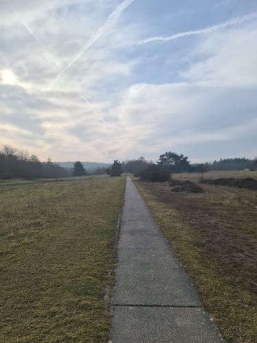 Heilbronner Waldheide und Stadtsee