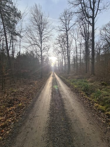 Heilbronner Waldheide und Stadtsee