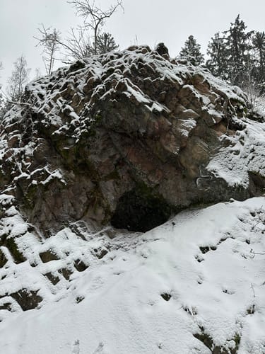 Tharandter Wald Wanderung