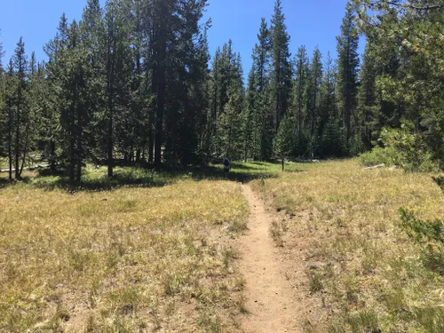 2023 Best 10 Long Trails in Klamath Falls | AllTrails