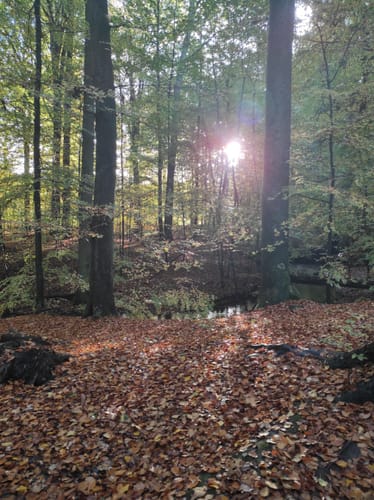 Rote Schleuse in Bockelsberg