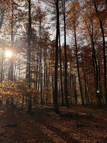Kleine Brüningsen Runde