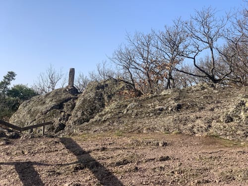 Kirchheimbolanden: Schillerhainrundweg 7