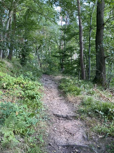 Oberlimberg Runde
