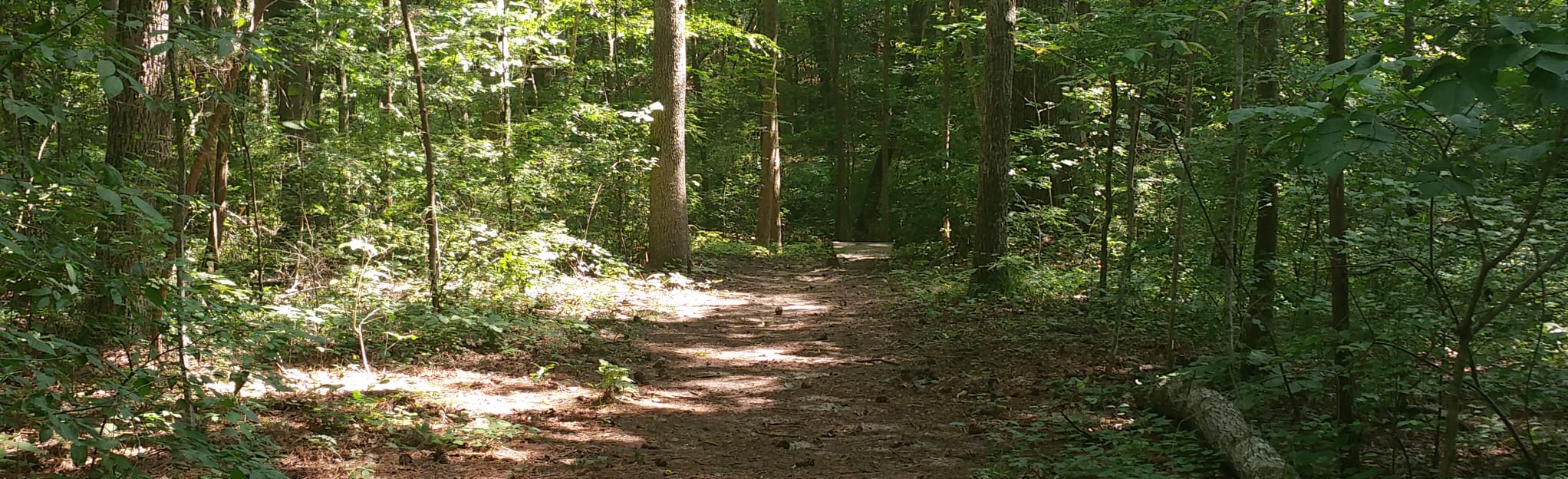 Cornwallis Loop, North Carolina 53 Reviews, Map AllTrails