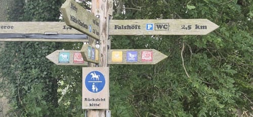 Rund um die Geltinger Birk