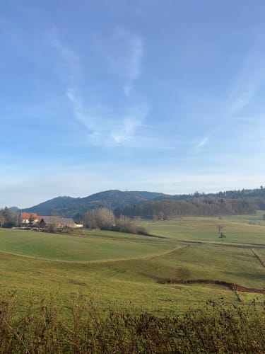 Panoramaweg Runde von Niedereggenen