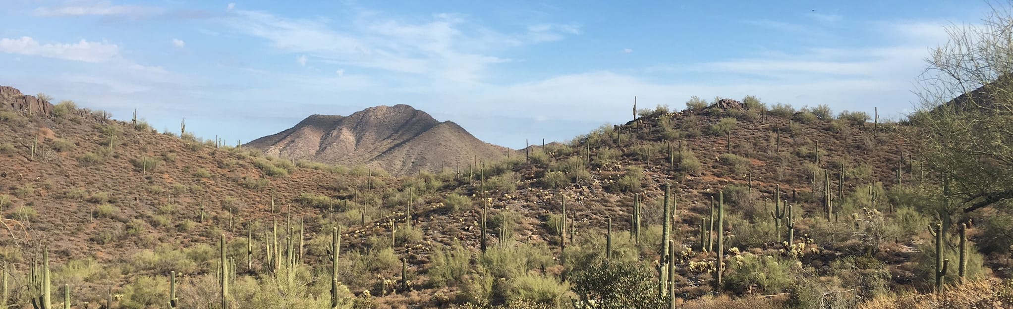 Tom's Thumb Trail South, Arizona 911 Reviews, Map AllTrails