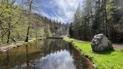 Dollbergschleife (Traumschleife)
