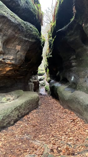 Leupoldishain - Labyrinthwächter - Panoramablick Bernhardstein