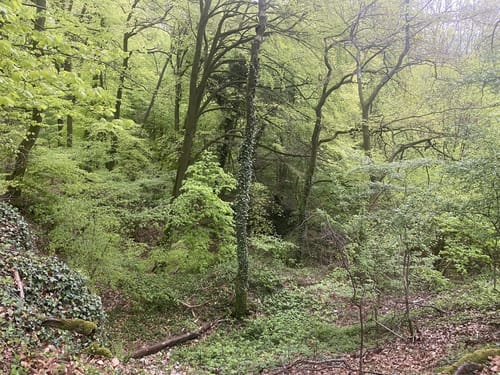 Hermannsweg Etappe 5: Borgholzhausen - Bielefeld