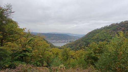 Rheinsteig Etappe 12: Braubach - Kamp-Bornhofen