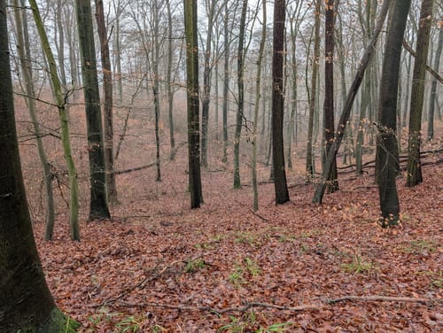 Karnitzer Runde aus Piseede über Hagensruhm