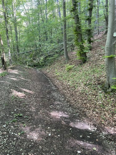 Löwenpfad Messelbergtour (traumtour)