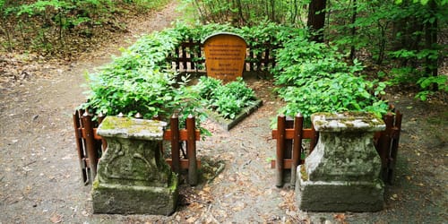 „Heide-Biber-Tour“  in der Dübener Heide