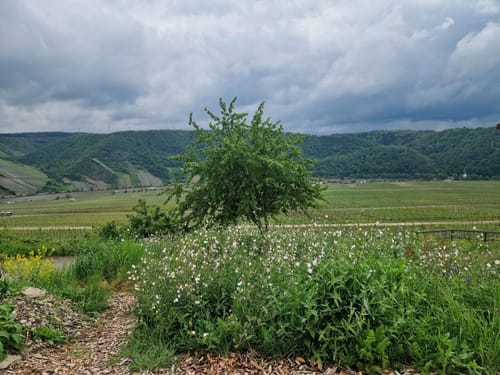 Sonneninselrundweg