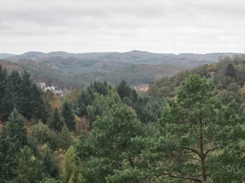 Wanderunde Lemberg (Pfalz)