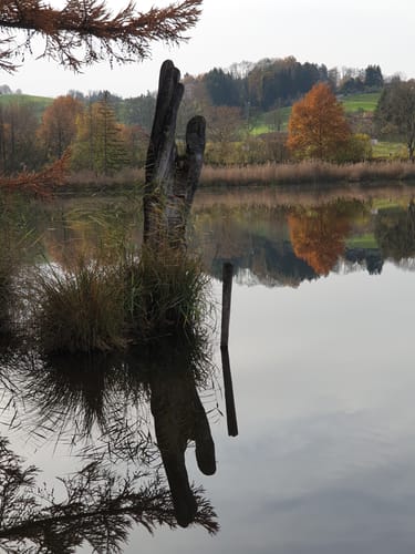 Wanderweg 16 Wangen im Allgäu