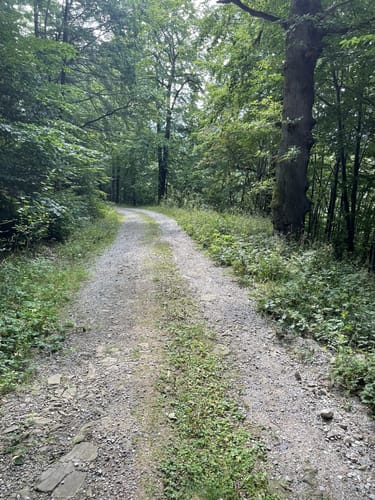 Innerstetalsperre - Brockenblick