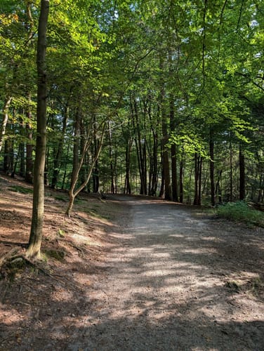 Donoper Teiche im Teutoburger Wald