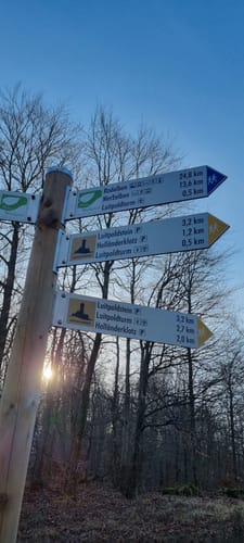 Merzalben - Weißenberg - Hermersbergerhof