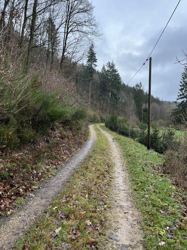 Olef nach Golbach über Broich