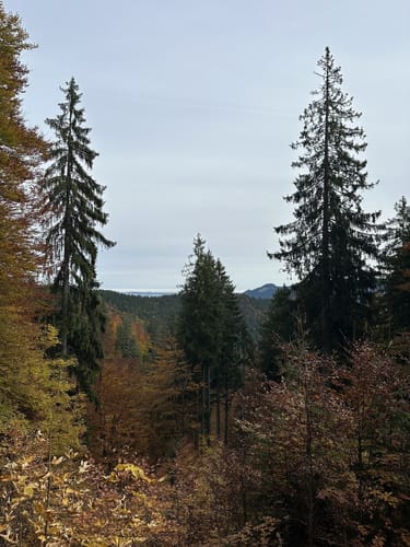 Aueralm und Fockenstein