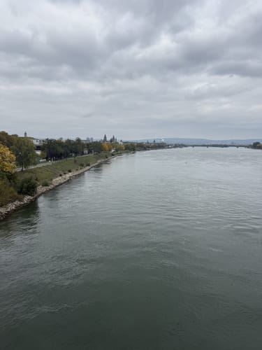 Mainzer Brückentour