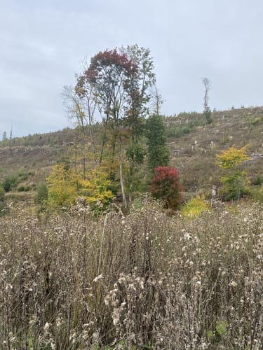 Rund um den Hoppecker Berg