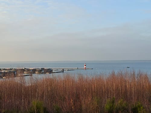 Um den Bärwalder See