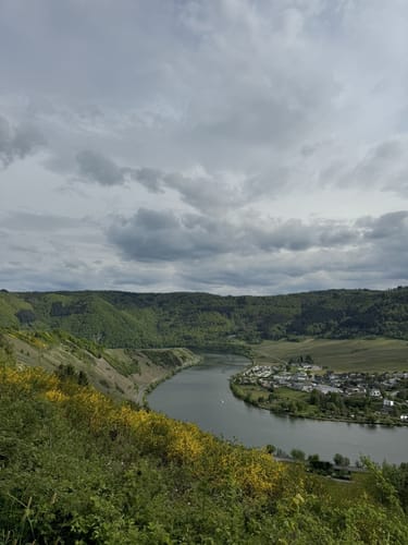 Zitronenkrämerkreuz (Premiumwanderweg)