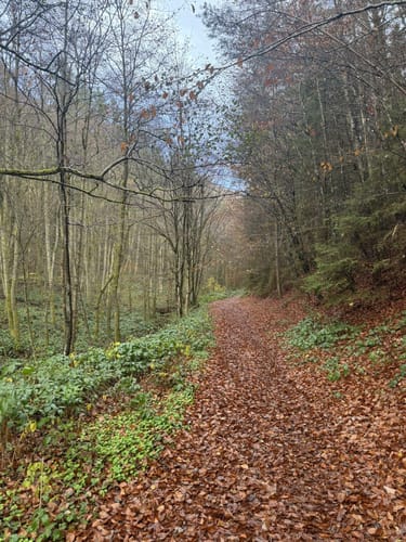 Teufelspfad (Premiumwanderweg)