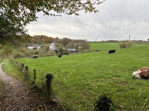 Gerresheim: Rotthäuser Bachtal