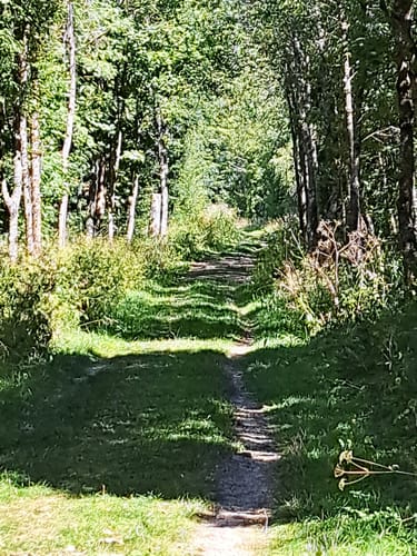 Naturlehrpfad Schwarzes Moor