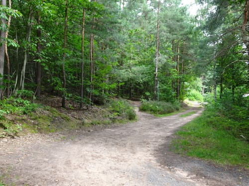 Vom Forsthaus Weilach zum Bismarckturm