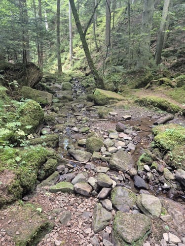 Durch das Wildromantische Monbachtal